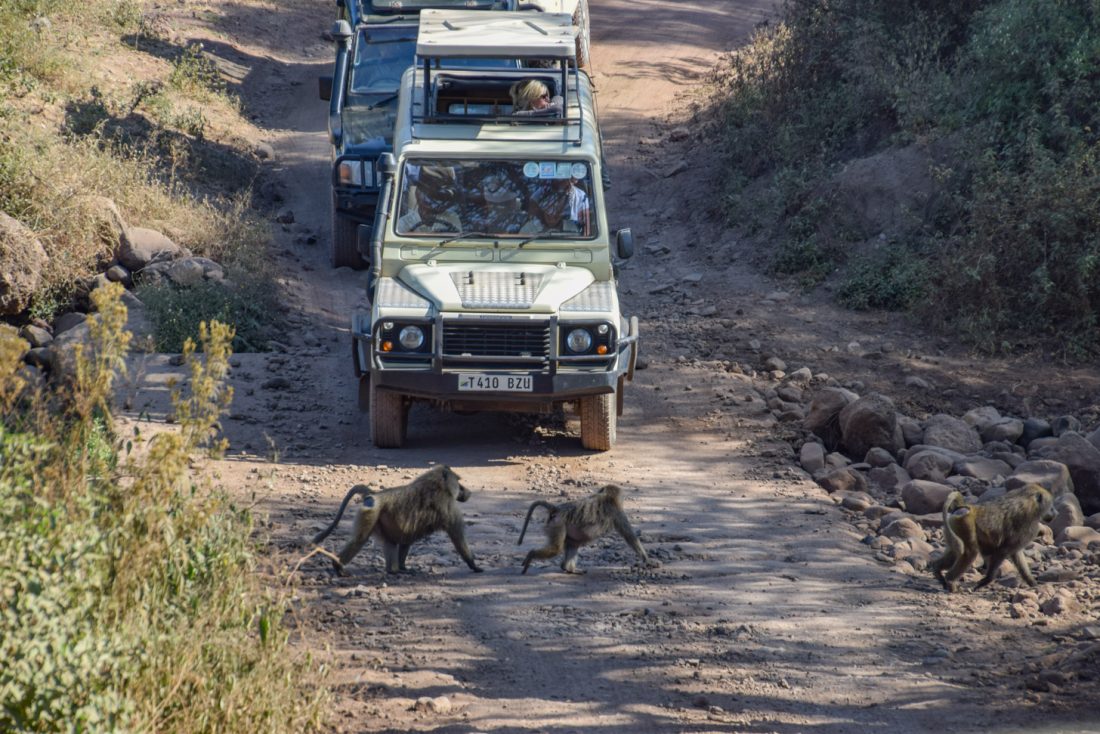 Safai in Tanzania