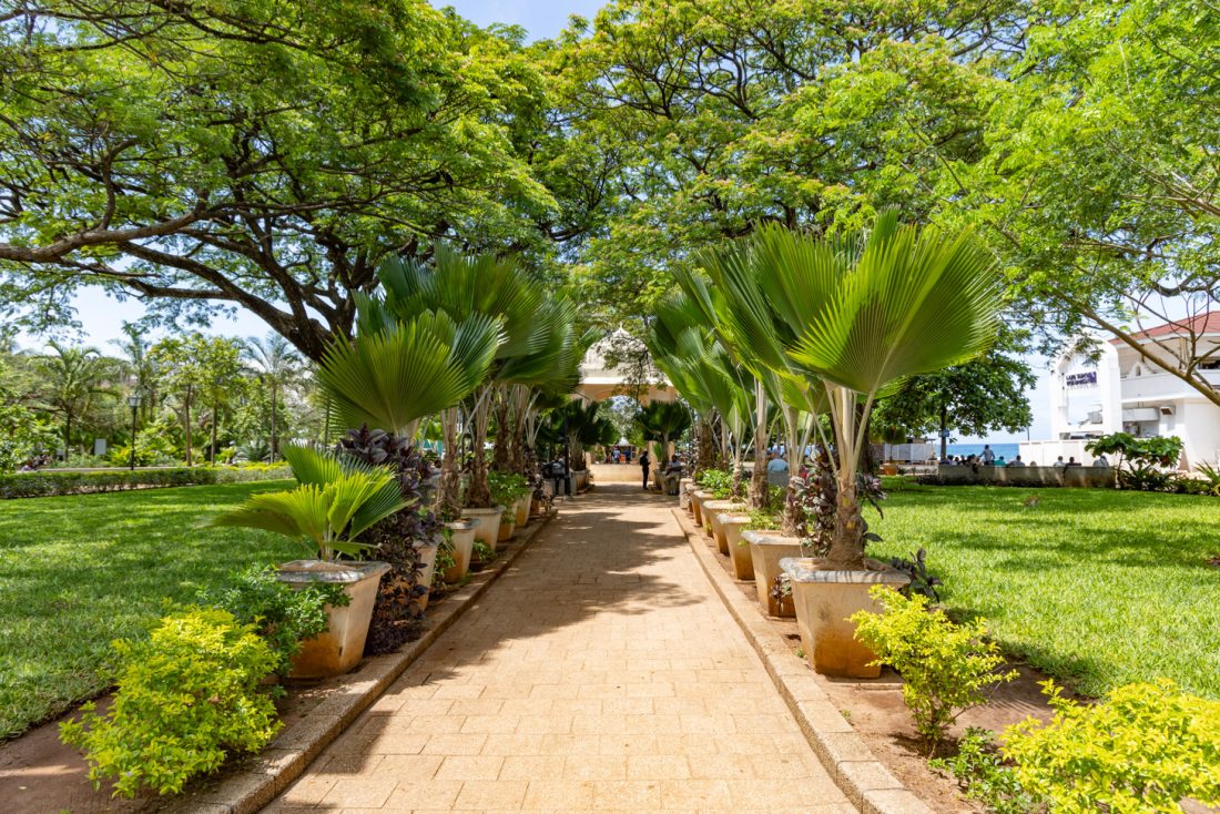 planten op Zanzibar